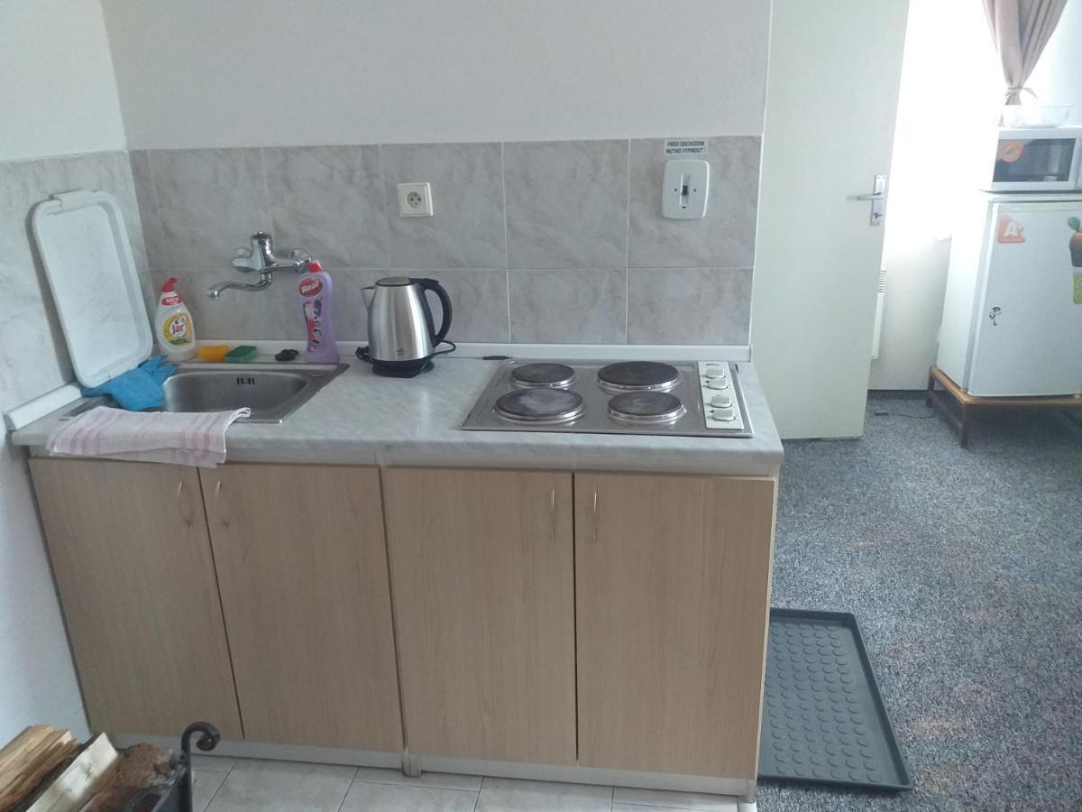 Penzion Na Vysluni Strasin ภายนอก รูปภาพ